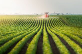 Cambodian Farmland Investments