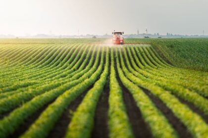 Cambodian Farmland Investments
