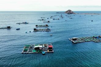 Việt Nam shifts to high-tech offshore aquaculture, replacing traditional fishing with resilient HDPE cages to boost profit and achieve blue economy goals.
