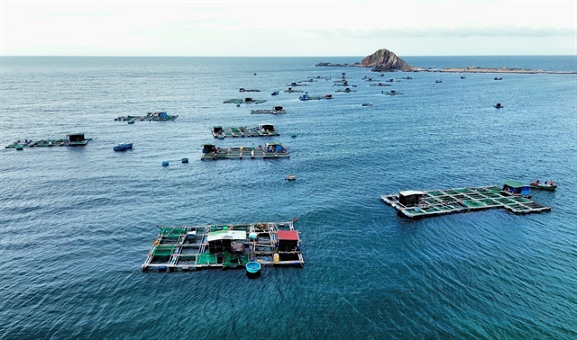 Việt Nam shifts to high-tech offshore aquaculture, replacing traditional fishing with resilient HDPE cages to boost profit and achieve blue economy goals.