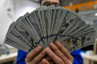 How a Strong U.S. Dollar Reshapes Corporate Earnings in Indonesia