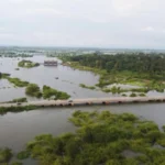 Thai Rice prices hit a 4-month high ($375/MT) due to flood concerns, while Indian prices fell on a weak rupee, creating market divergence across Asia's rice trade.