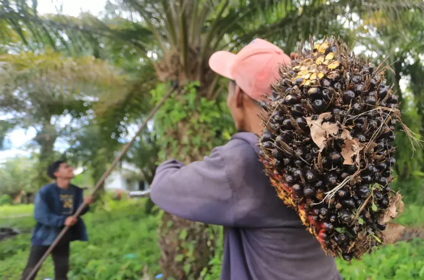 Sumatra floods cause $4.1B in Indonesian losses, threatening the global palm oil supply chain and increasing climate-risk volatility for regional investment.