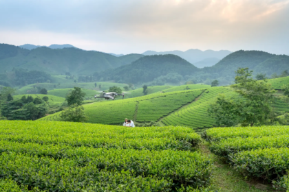 Swedfund invests 20 million dollars in Vietnam to support MSME growth, targeting climate action projects and women owned enterprises for sustainable development.