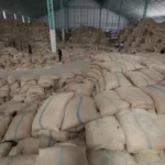 Thai experts back rice stockpiling to boost export quality and food security, using a tiered system to balance small trader costs with national market stability.