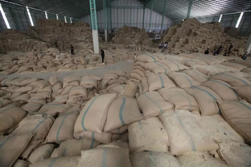 Thai experts back rice stockpiling to boost export quality and food security, using a tiered system to balance small trader costs with national market stability.