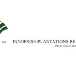 Innoprise Plantations appoints Datuk Kelvin Tan as managing director to lead its 2026 growth strategy, leveraging his extensive expertise in sustainable oil palm.