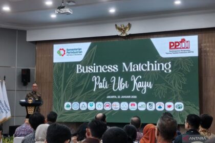 Indonesia strengthens its domestic Tapioca industry to slash imports and boost industrial competitiveness through strategic synergy and policy alignment.