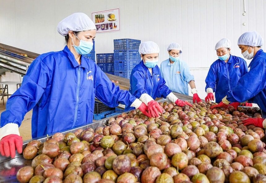 Vietnam's agricultural sector starts 2026 with a $6 billion export surge, driven by strong demand from China and a significant rise in fruit and vegetable sales.
