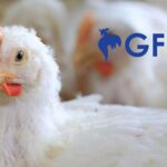 GFPT reports 23.59% profit growth in 2025 as lower feed costs boost margins. The firm plans major investments in processing plants to meet rising global demand.