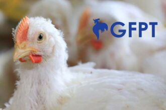 GFPT reports 23.59% profit growth in 2025 as lower feed costs boost margins. The firm plans major investments in processing plants to meet rising global demand.