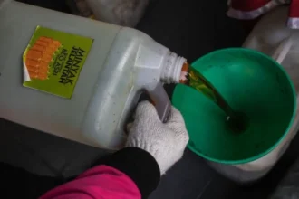 Indonesia Bans Palm Oil Waste Exports For Energy Goals