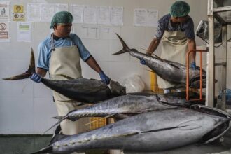 Indonesia launches a 2026 strategy to boost seafood exports by meeting global certification standards and leveraging new trade agreements for market expansion.