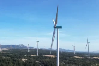 Vingroup subsidiary VinEnergo secures a 1.86 billion dollar wind power project in Vietnam, marking a major milestone for renewable energy and industrial growth.