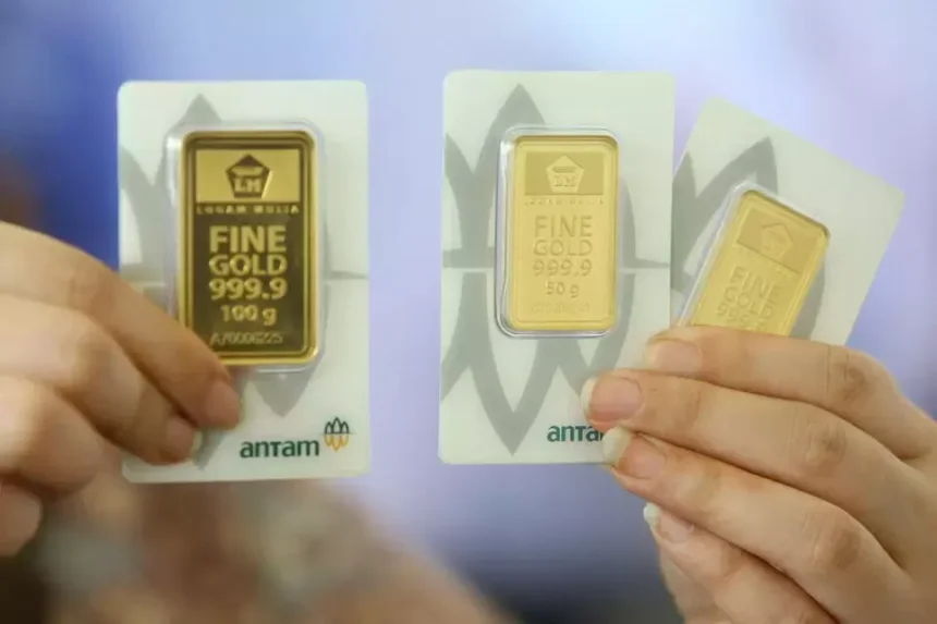 A person holding three certified Antam gold bars in 100g and 50g sizes, showcasing the official LM packaging.