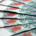 A fan of 50 Malaysian ringgit banknotes showcasing the national hibiscus flower and traditional songket patterns.