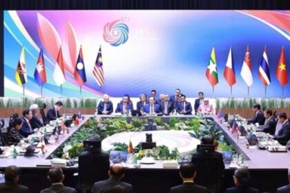 A farmer harvests fresh pepper in a rural plantation, contributing to the regional agricultural economy.