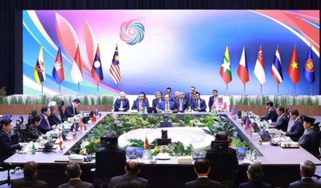 A farmer harvests fresh pepper in a rural plantation, contributing to the regional agricultural economy.
