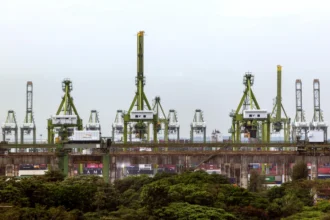 Port cranes and containers at Keppel Terminal will be relocated to make way for the Greater Southern Waterfront project.