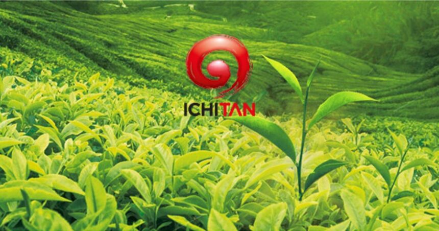 Ichitan logo displayed over lush green tea plantations, highlighting the beverage focus analyzed by FSSIA researchers.