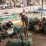 Workers loading heavy sacks at a riverside warehouse, supporting the trade cycle after planting rice is complete.