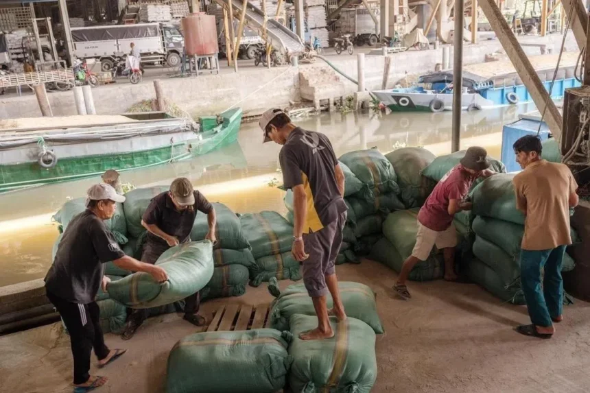 Workers loading heavy sacks at a riverside warehouse, supporting the trade cycle after planting rice is complete.