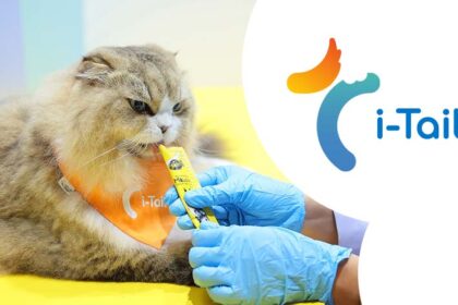 A cat enjoys treats alongside the i-Tail logo, highlighting the innovative pet food solutions from ITC.
