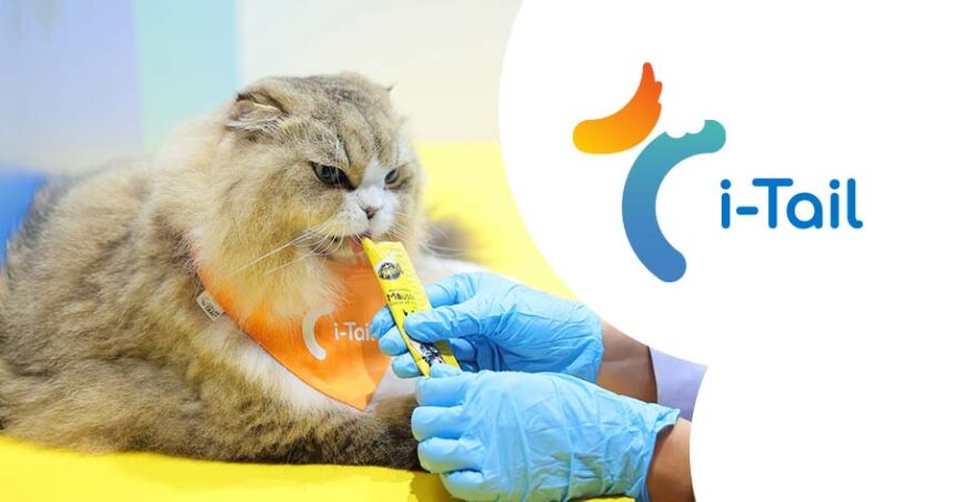 A cat enjoys treats alongside the i-Tail logo, highlighting the innovative pet food solutions from ITC.