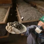 A worker holding a handful of processed ore samples within a production facility of the nickel corridor axis.
