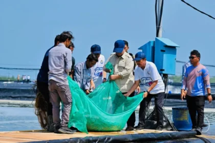 President Prabowo Subianto inspects a modern shrimp farming harvest facility alongside regional aquaculture workers.